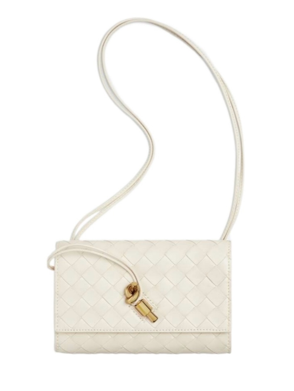 Bottega Veneta Andiamo Pouch